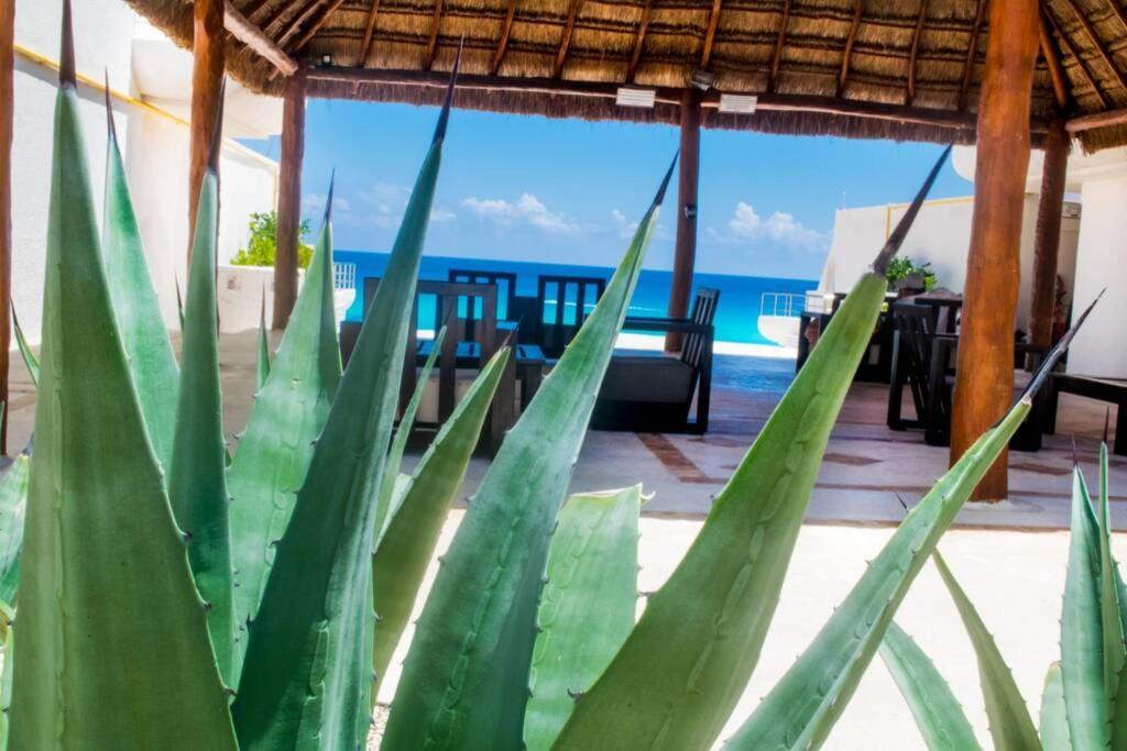 Villas Marlin 108, A Pie De Playa, Albercas, Jacuzi, Ubicacion Inmejorable Cancun Exterior photo