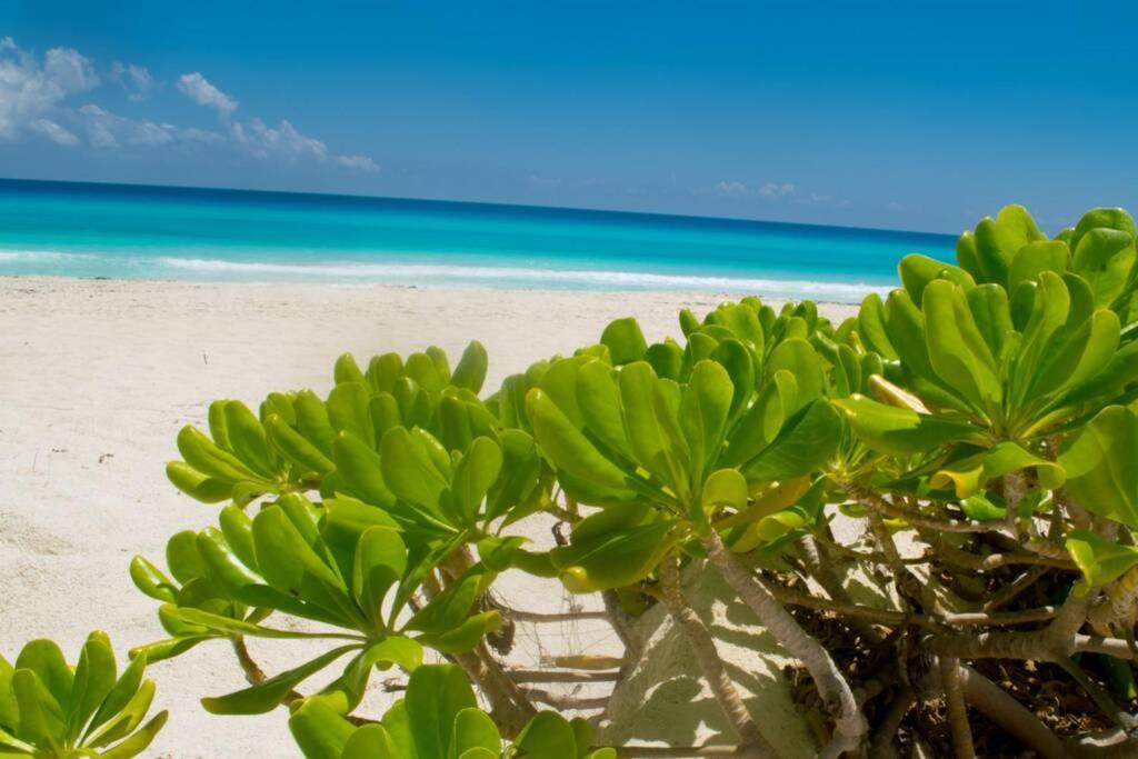 Villas Marlin 108, A Pie De Playa, Albercas, Jacuzi, Ubicacion Inmejorable Cancun Exterior photo